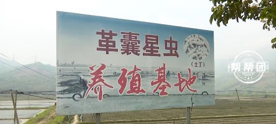 DƬ